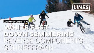 White Fast Down 2019 | LINES
