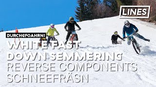 White Fast Down 2019 - Finale | LINES