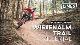 Wiesenalm Trail - Zillertal | LINES