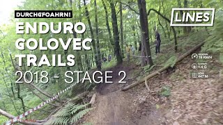 Stage 2 - SloEnduro 4Fun Golovec Trails 2018 |...