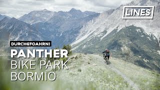 Panther - Bike Park Bormio | LINES