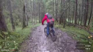 Forest Thunder (Forest One) - Lermoos | LINES