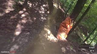 Funny Enduro - Bikepark Kalnica | LINES