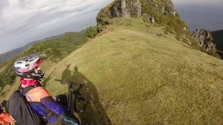 Fanal - Madeira | LINES