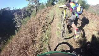 Corujeira Trail - Madeira | LINES