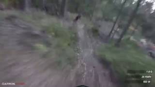 Single Trail Park Jamnica - E4/A2/E2 | LINES