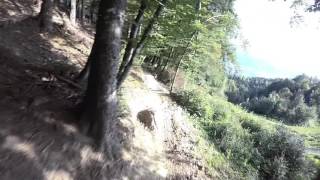 Arzler Alm Trail | LINES