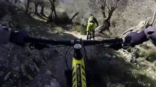 Alaro - Orient Singletrail Mallorca | LINES