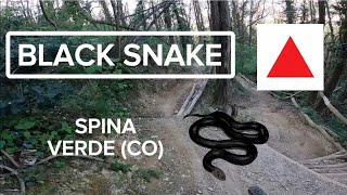 Black Snake - MTB Spina Verde (CO) -...