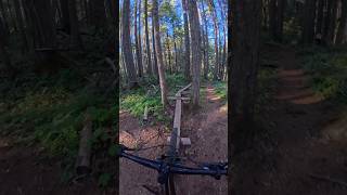 Narrow skinny and drop into the gully on Doumont