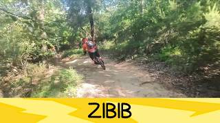 Zibib 30/5/2026 - Roveta