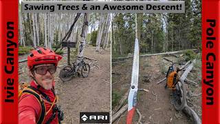The mountains are SO dry! | Mountain Biking...