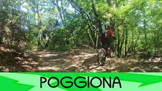 Poggiona Integrale 30/5/2026 - Roveta