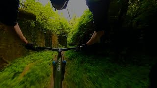 Pescalina Trail | MTB TRAILFORKS