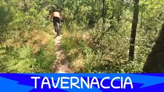 Tavernaccia 30/5/2026 - Roveta