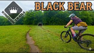 Kingdom Trails: Black Bear