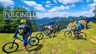 MONTE ACOMIZZA / PULCINELLA 2026