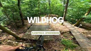 Wildhog ⚫ Flowtrail Stromberg Trail Review...