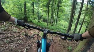 Salamandra, Węgierska Górka, R-Trails |...