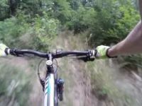Muchova bouda - MTB trail