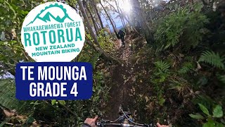 Re Opened - Te Mounga Trail | Whakarewarewa...