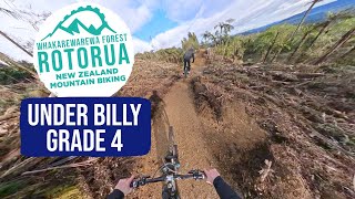 A New Lease of Life | UnderBilly Trail,...