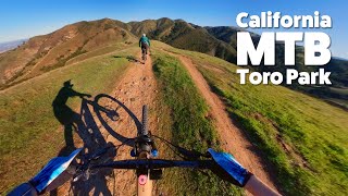 Toro Park The Best Downhill MTB in Monterey