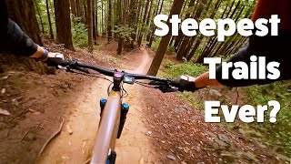 STEEP UCSC Mountain Bike Trails Pushing My...
