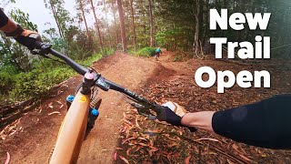 New MTB Jump Trail - SF Bay Area - Half Moon Bay