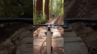 Sawpit Trail - Santa Cruz, CA - MTB (Soquel...