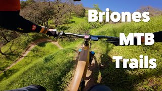 Briones Regional Park - Curl of the Burl Trail...
