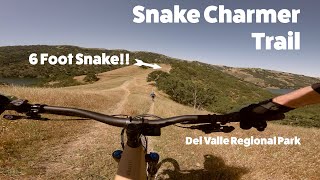 Snake Charmer Trail -  Del Valle Regional Park...
