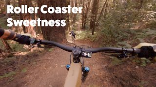 Santa Cruz, CA -  Roller Coaster - Sweetness...