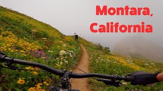 Two Pines Trail - Old Colma Road Trail #mtb