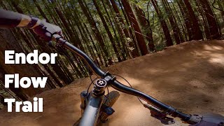 Tamarancho Endor Flow Trail