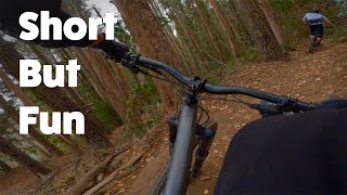 Loam Depot - 99 Bottles trail - Half Moon Bay,...