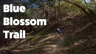 Blue Blossom Trail - Skeggs Point - July 16, 2022