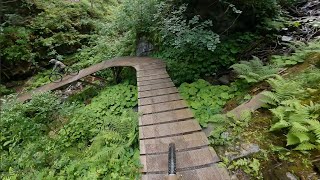 Antonius Trail | L4  - The Epic Bikepark Leogang