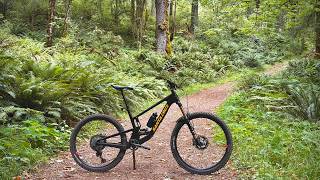 Riding my new bike on some favourite local trails