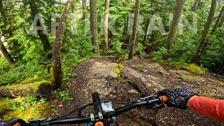 Bellingham right after the rain | Cougar Ridge...