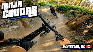Ninja Cougar | Blue trail | WHISTLER Bike Park