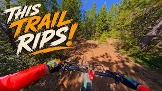 This NEW Handbuilt MTB Trail in Nevada City RIPS!