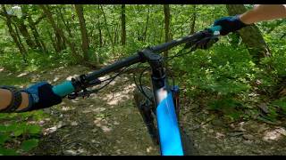 Flow and Tech on the Black Trails | Mountain...
