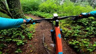 Thrillium Trail -- Yacolt Burn/Cold Creek, WA