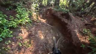 Old Exit @ Whakarewarewa Forest  Rotorua