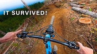 First Ride After They Logged the Forest