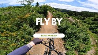 NEU Fly By  Bikepark Winterberg Trail Review...