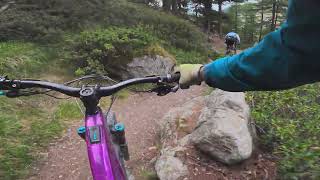 Börter Trail, POV, Zermatt, Switzerland,...