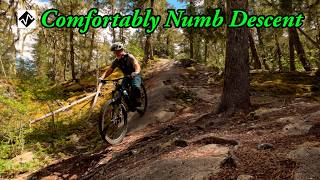 Best expert MTB trail in Whistler, BC - ...