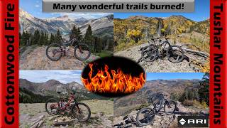 Tushar Mountain trails burned by the massive...